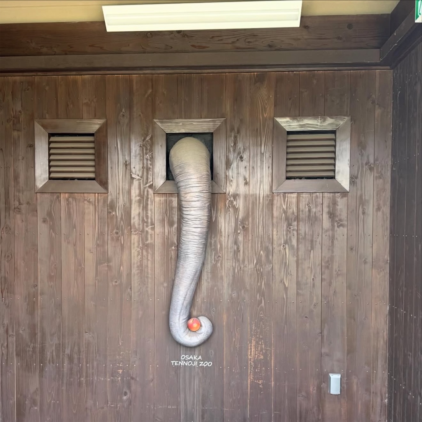 天王寺動物園のゾウ舎 天王寺動物園のゾウ舎