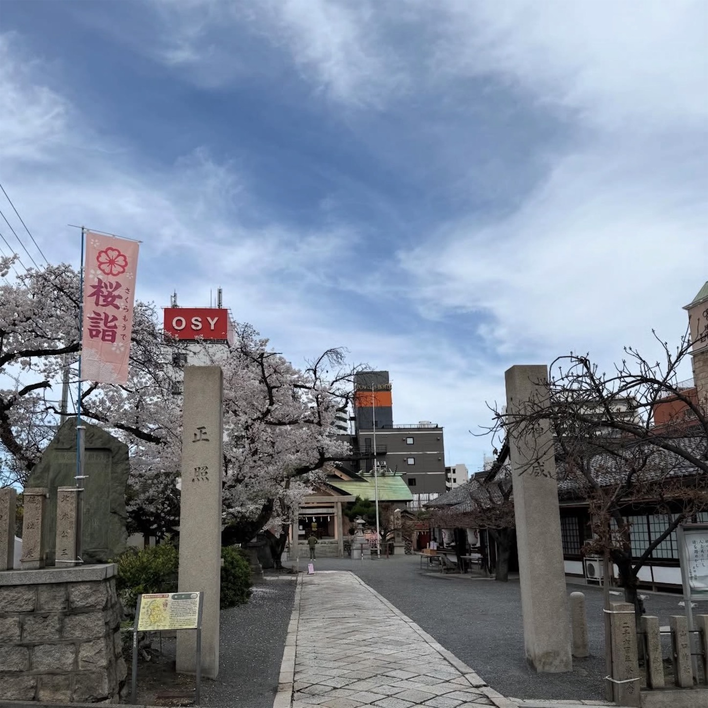 桜宮神社（櫻宮）の桜4