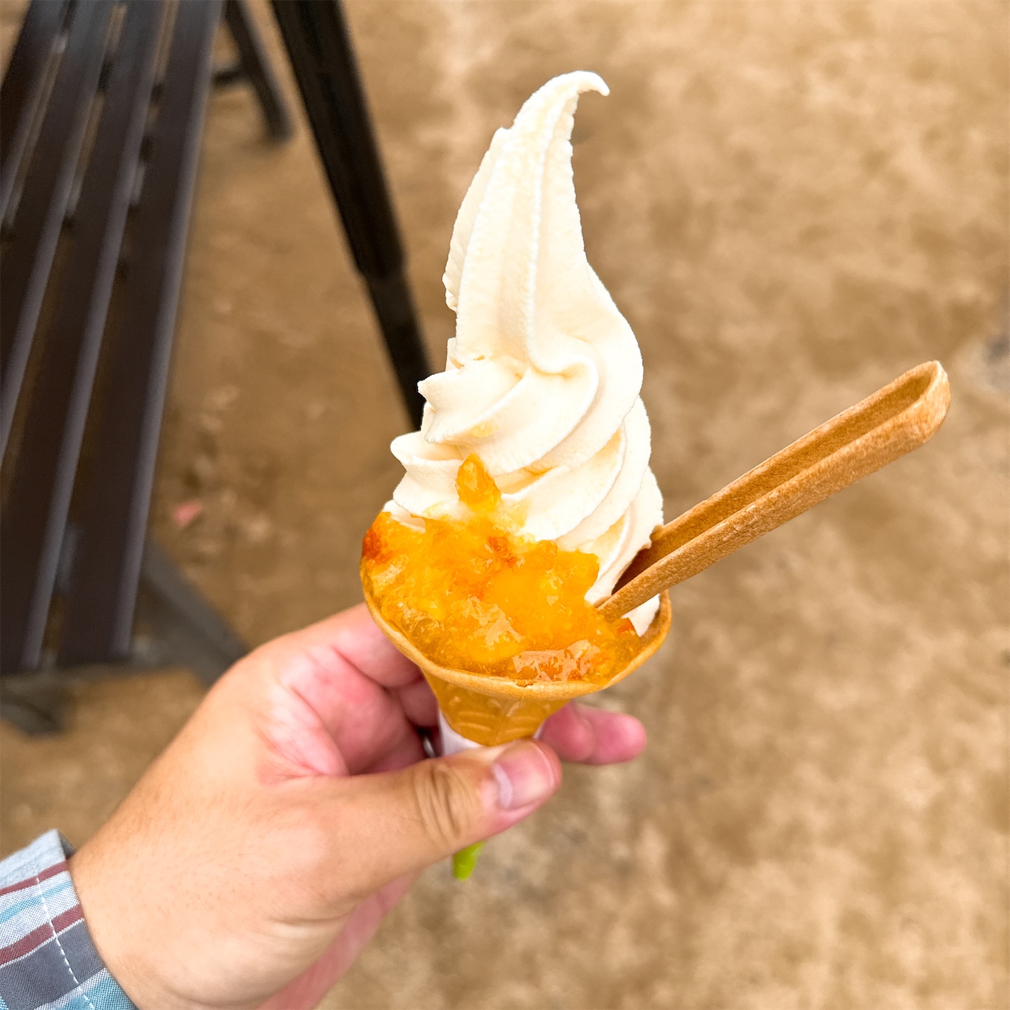 城山荘の伊予柑ソフト