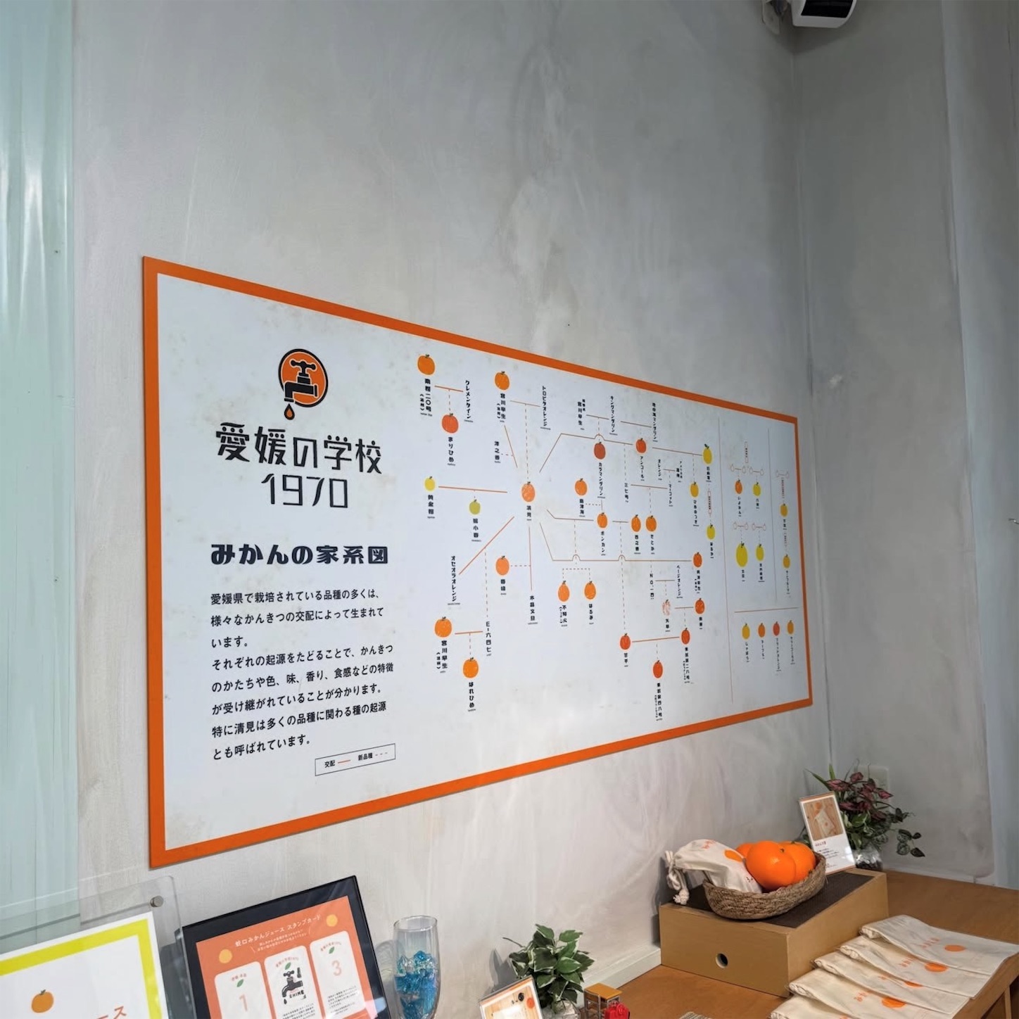 愛媛の学校1970の店内2