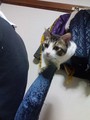 20080209235208