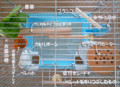 20100313111758
