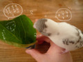 20100314131349