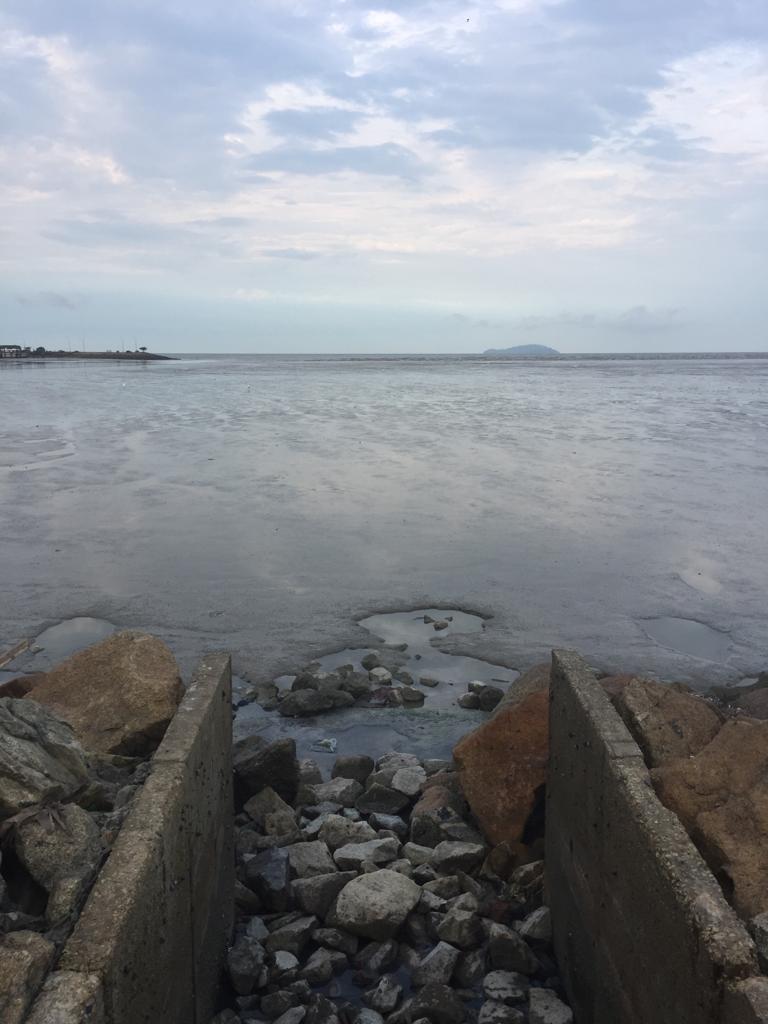 f:id:yangpingsan:20190313100650j:plain