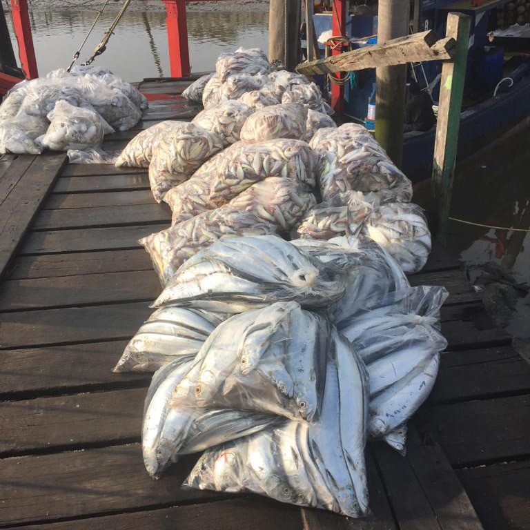 f:id:yangpingsan:20190313104413j:plain