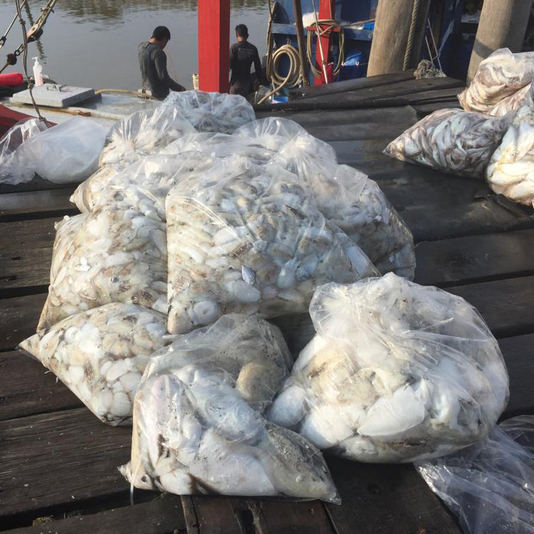 f:id:yangpingsan:20190313104423j:plain