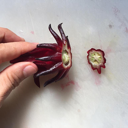 f:id:yangpingsan:20190323114039j:plain