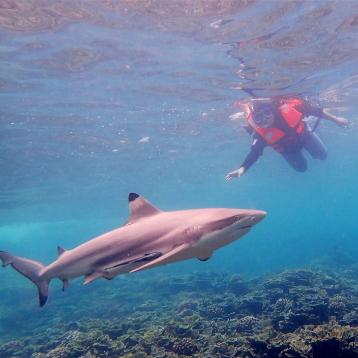 f:id:yangpingsan:20190622214107j:plain