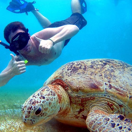 f:id:yangpingsan:20190622215429j:plain