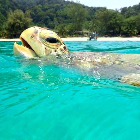 f:id:yangpingsan:20190622215434j:plain