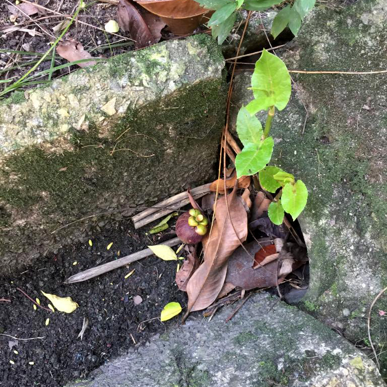 f:id:yangpingsan:20190711211404j:plain