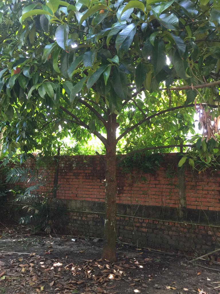 f:id:yangpingsan:20190711211410j:plain