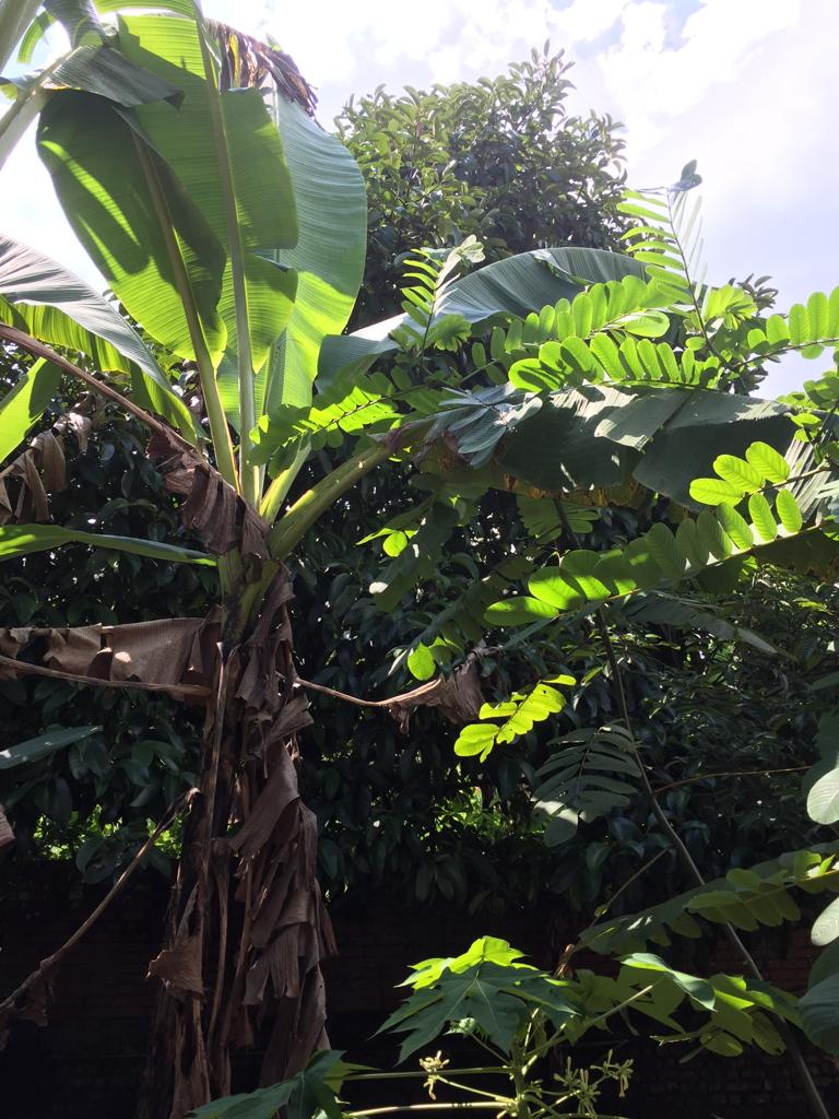 f:id:yangpingsan:20190711211426j:plain