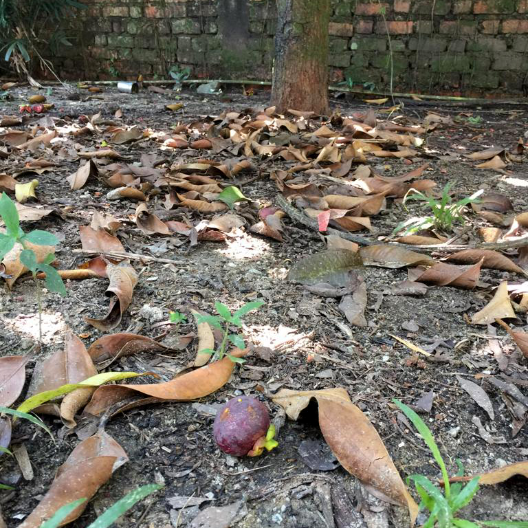 f:id:yangpingsan:20190711211439j:plain