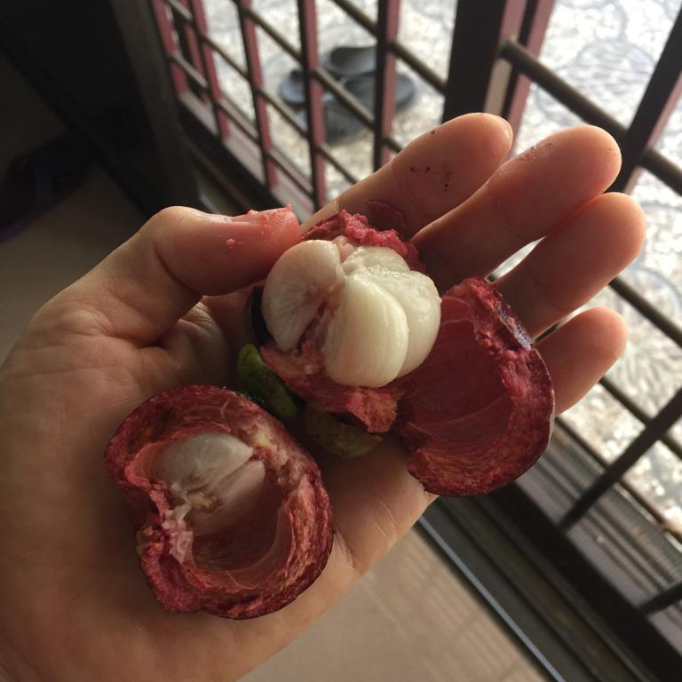 f:id:yangpingsan:20190711211450j:plain