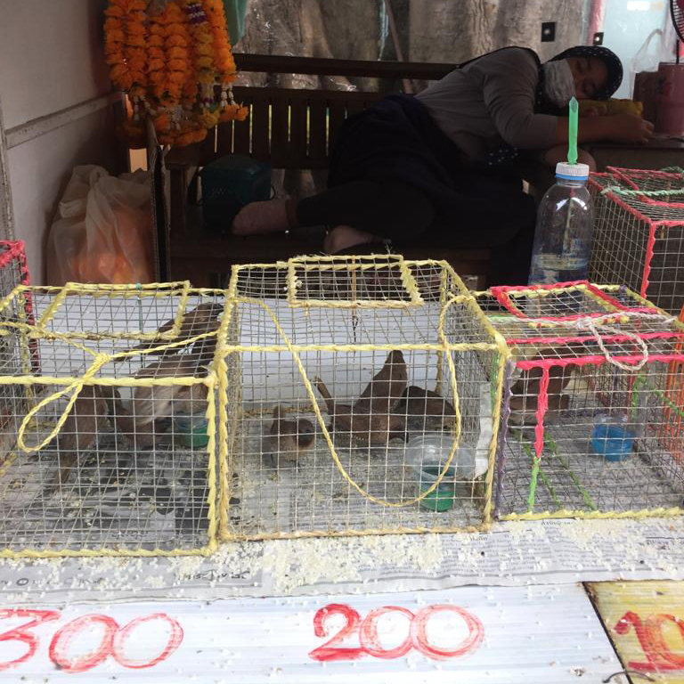 f:id:yangpingsan:20190727213327j:plain