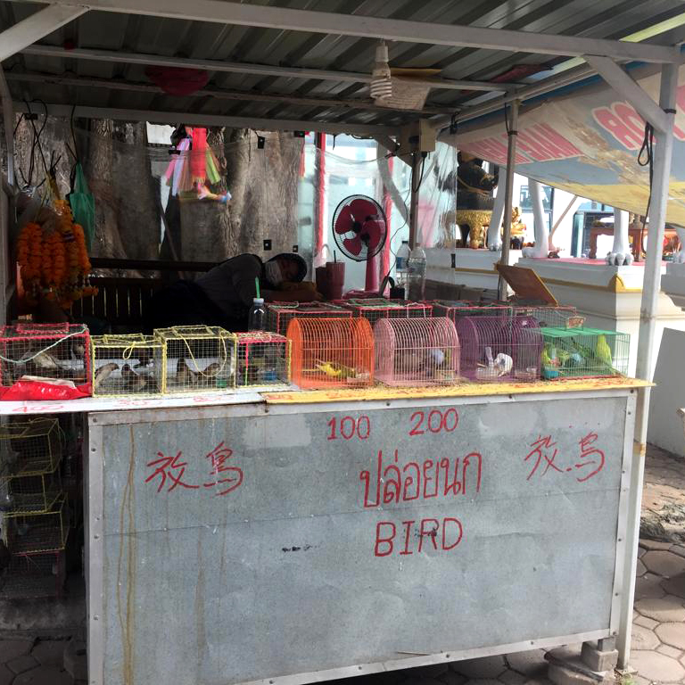 f:id:yangpingsan:20190727213330j:plain