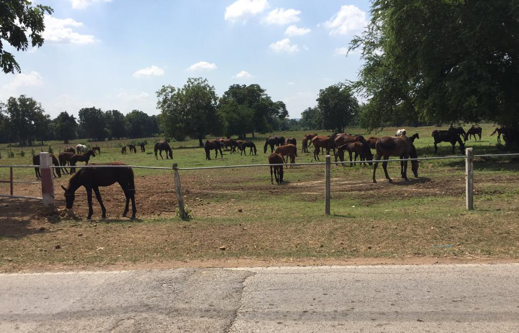 f:id:yangpingsan:20191106102645j:plain