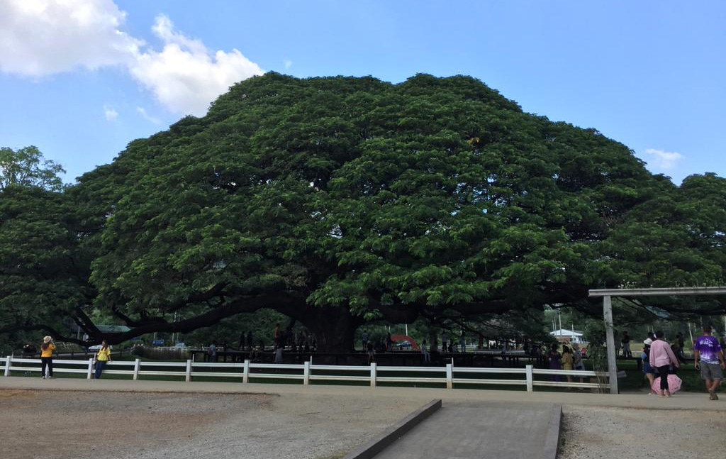 f:id:yangpingsan:20191106103044j:plain