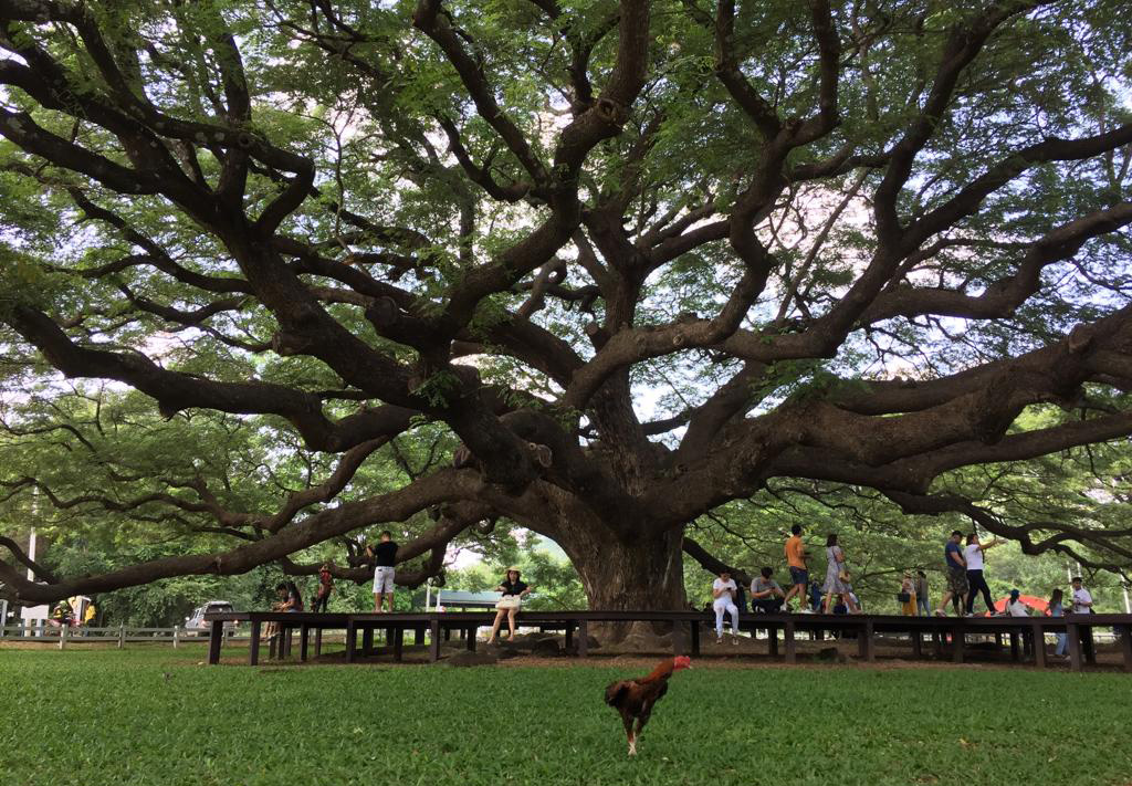 f:id:yangpingsan:20191106103048j:plain