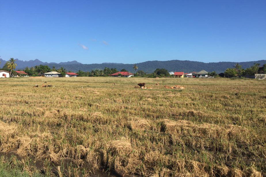 f:id:yangpingsan:20191216105044j:plain