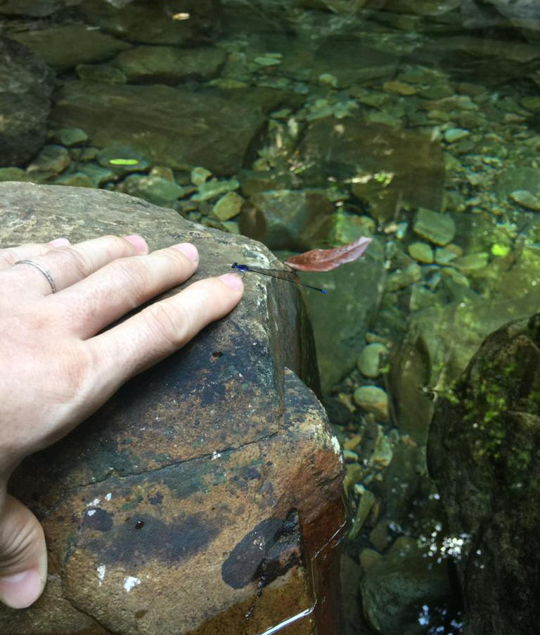 f:id:yangpingsan:20191216111257j:plain