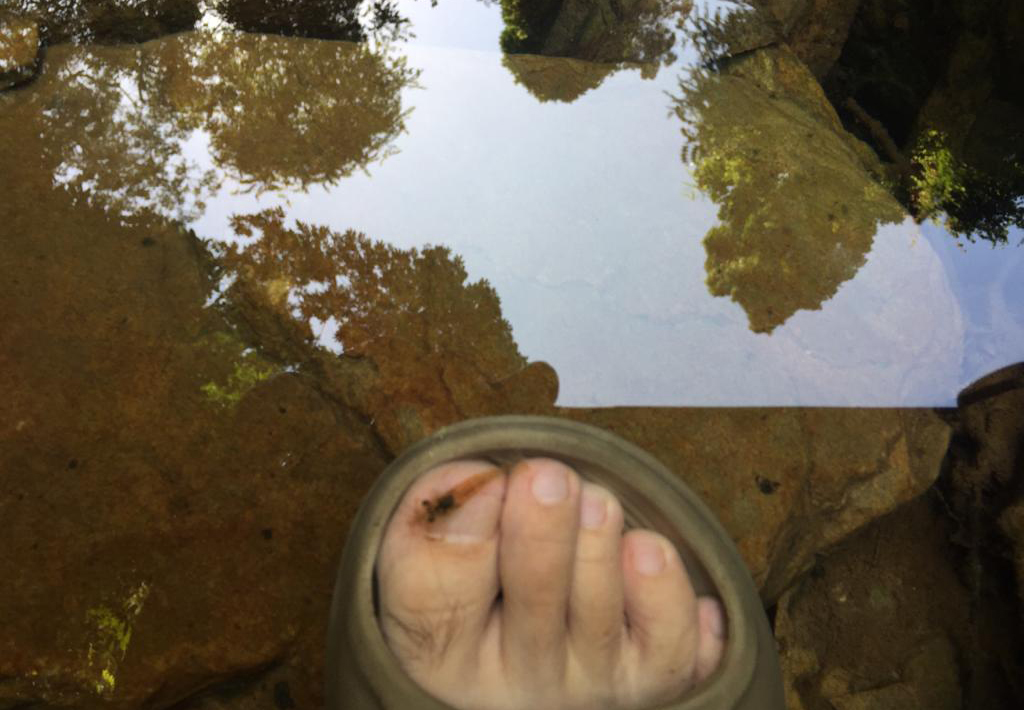 f:id:yangpingsan:20191216111320j:plain