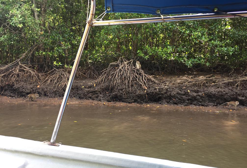 f:id:yangpingsan:20191216144144j:plain