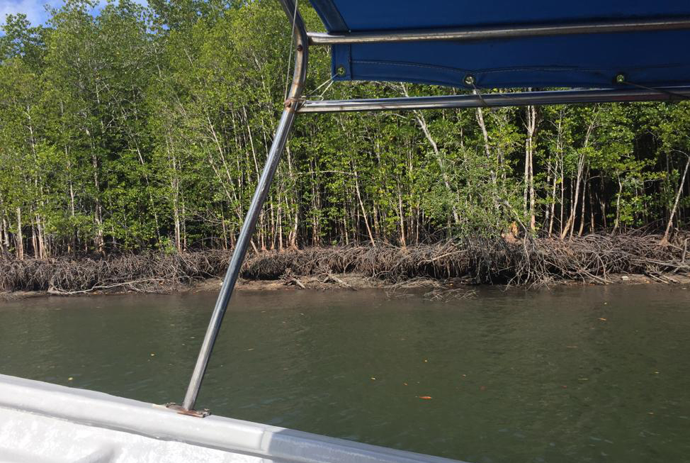 f:id:yangpingsan:20191216144149j:plain