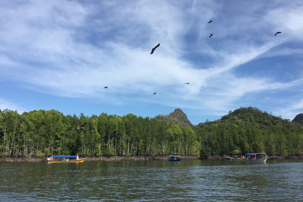 f:id:yangpingsan:20191216144201j:plain