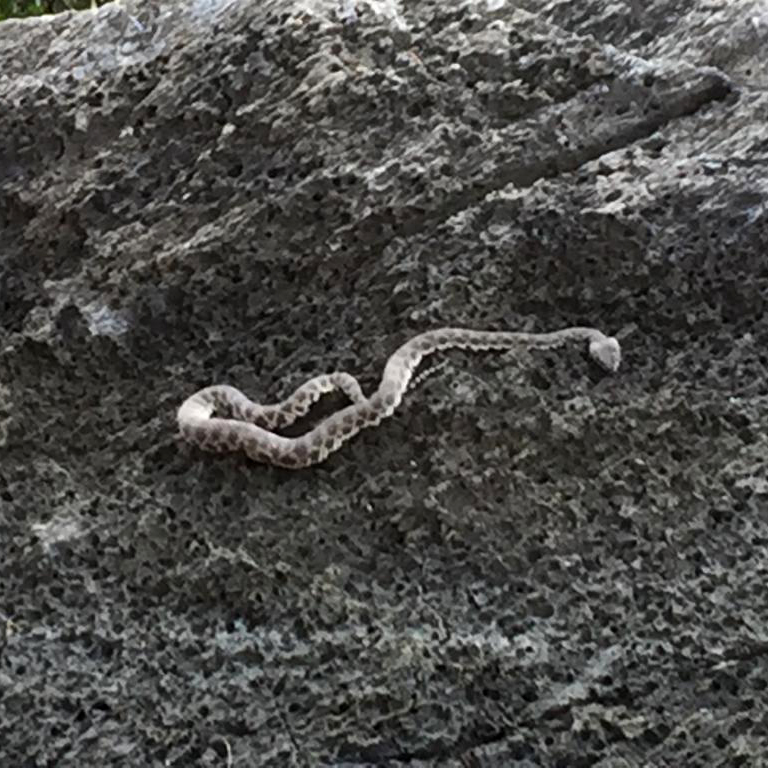 f:id:yangpingsan:20191216144239j:plain