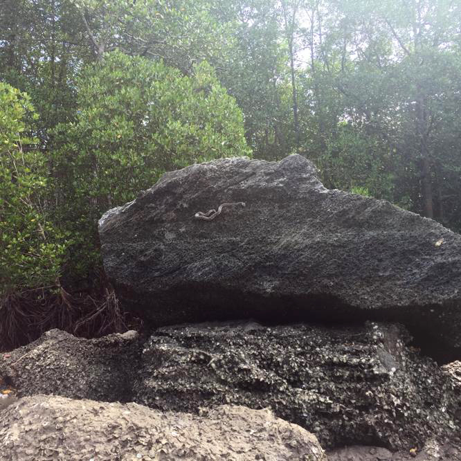 f:id:yangpingsan:20191216144243j:plain