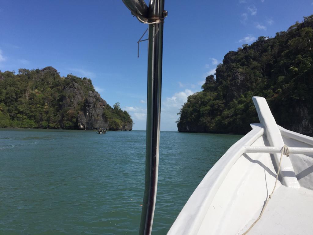 f:id:yangpingsan:20191218143317j:plain