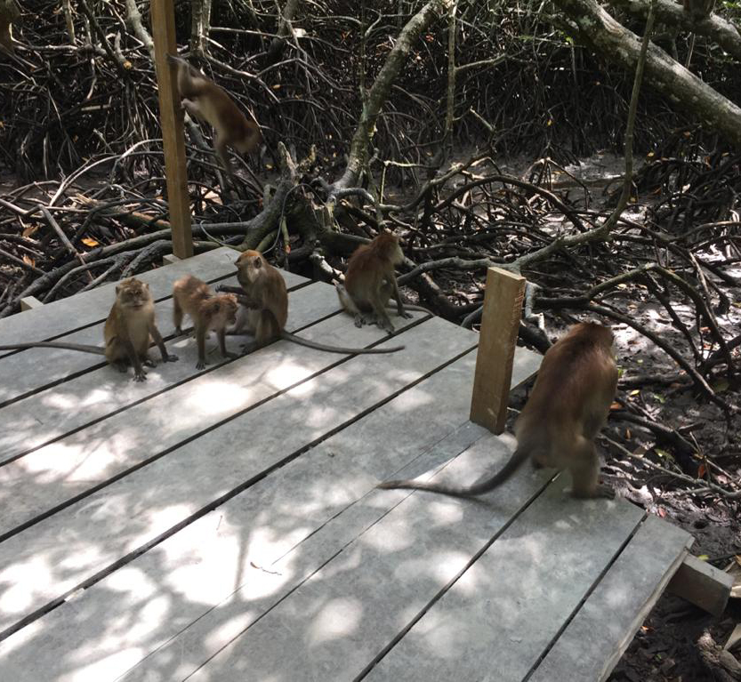 f:id:yangpingsan:20191218143321j:plain