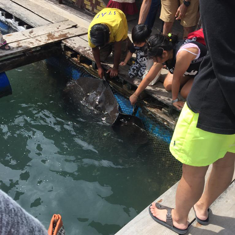 f:id:yangpingsan:20191218143409j:plain