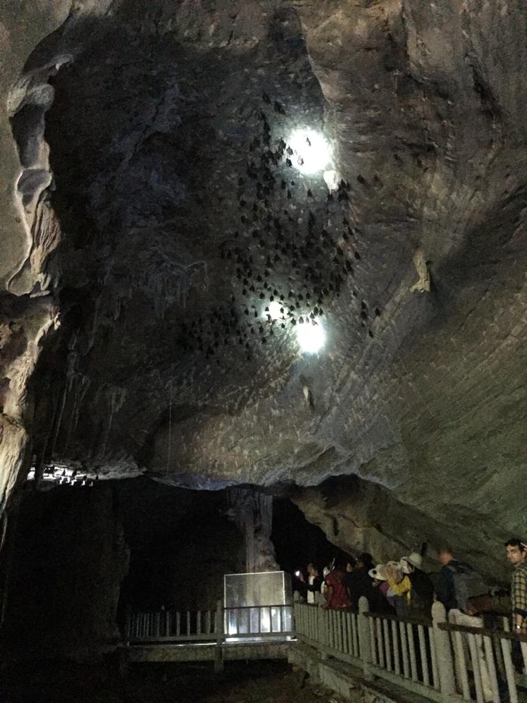 f:id:yangpingsan:20191218143419j:plain