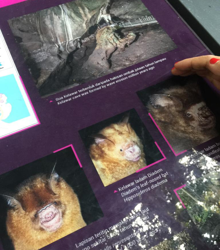 f:id:yangpingsan:20191218143500j:plain