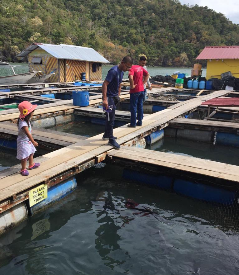 f:id:yangpingsan:20191218143536j:plain