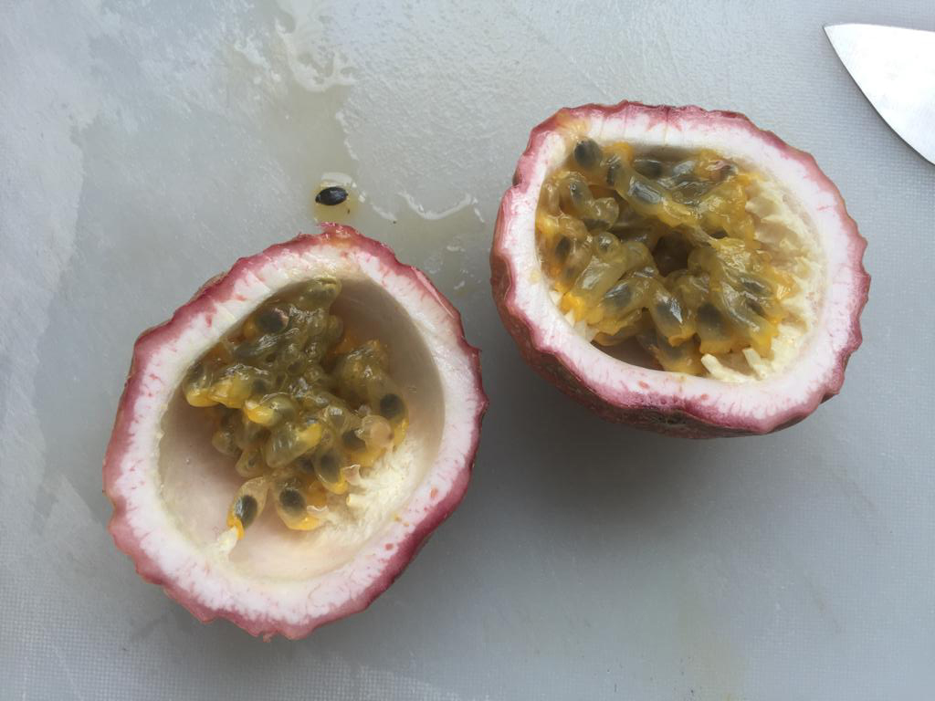 f:id:yangpingsan:20200109153621j:plain