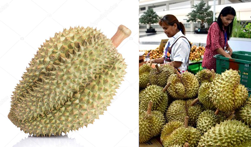 f:id:yangpingsan:20200205152220j:plain