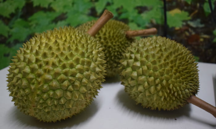 f:id:yangpingsan:20200205152225j:plain