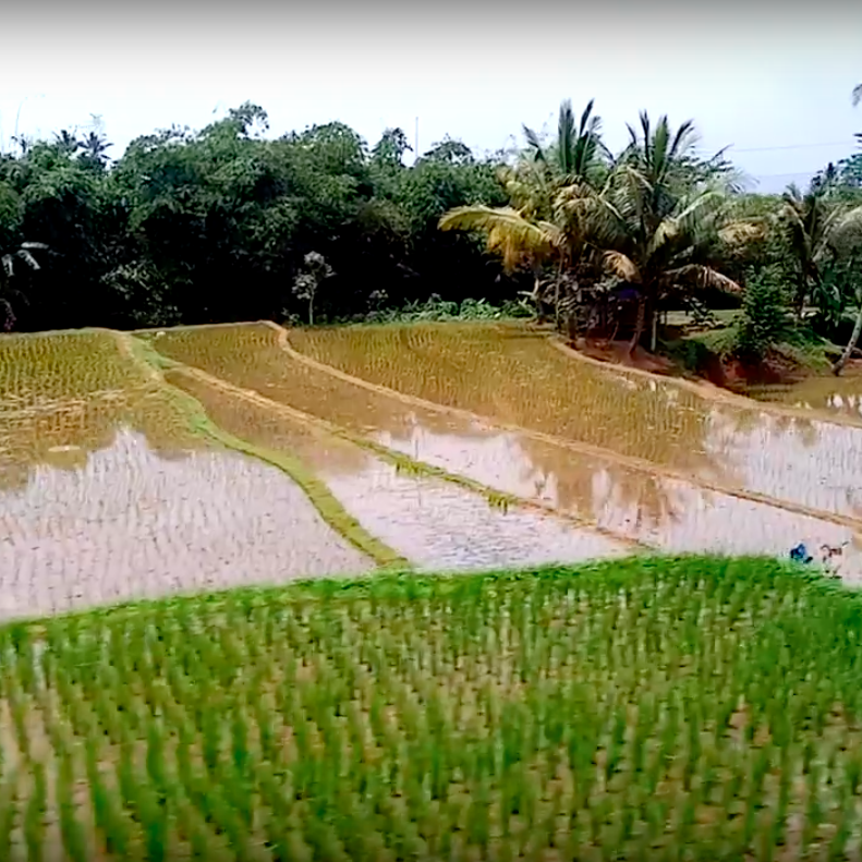 f:id:yangpingsan:20200211101926p:plain