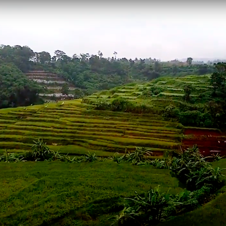 f:id:yangpingsan:20200211101931p:plain