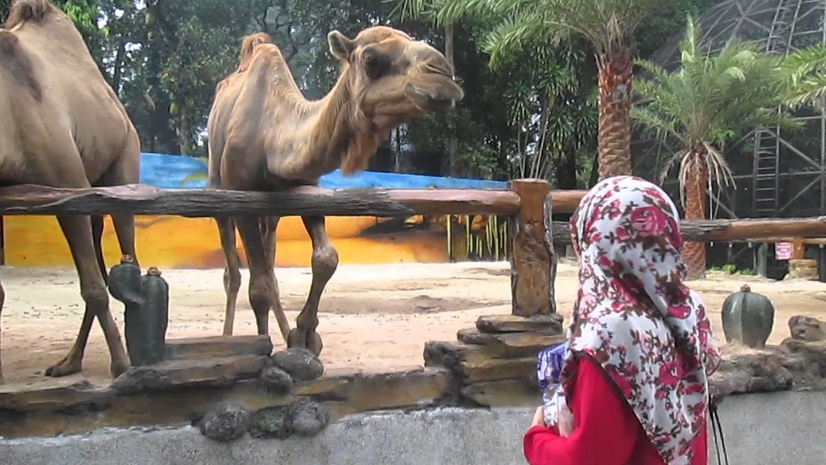 f:id:yangpingsan:20200331191049j:plain