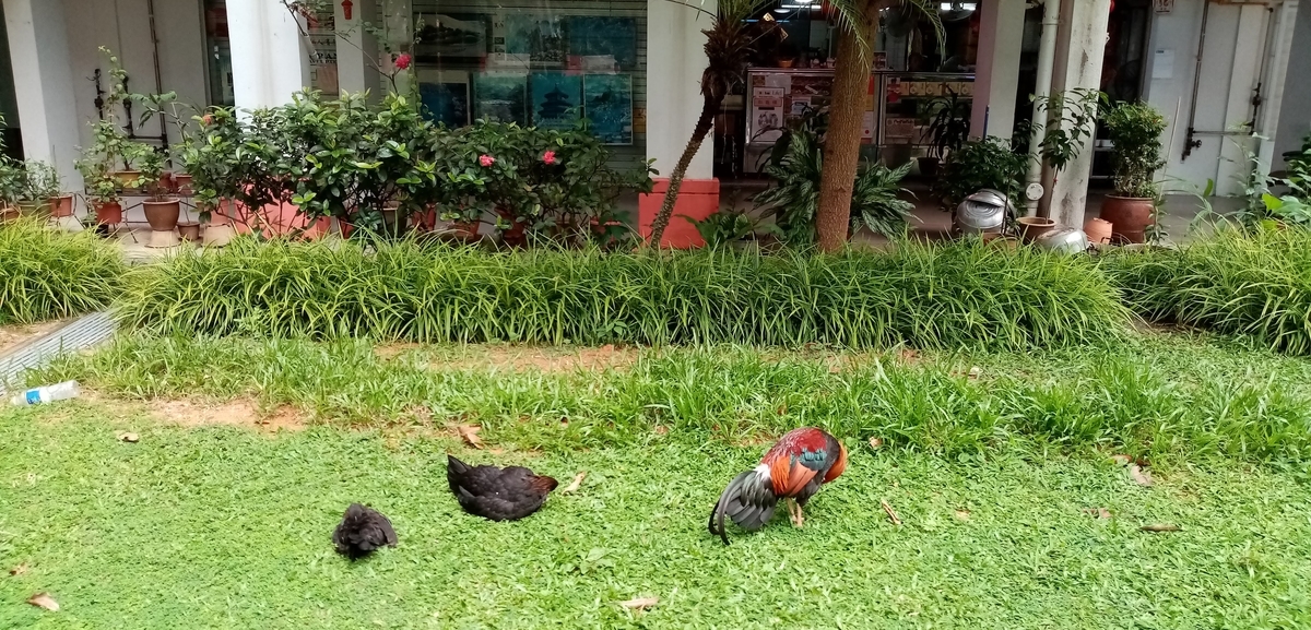 f:id:yangpingsan:20200408215008j:plain