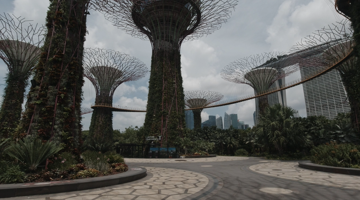 f:id:yangpingsan:20200410222121p:plain