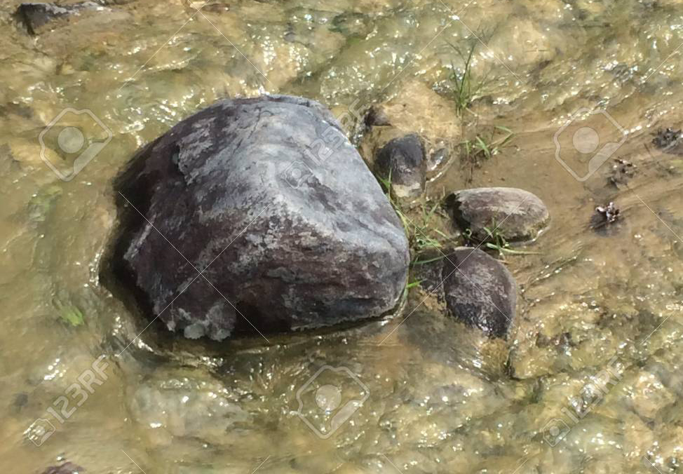 f:id:yangpingsan:20200716205210j:plain