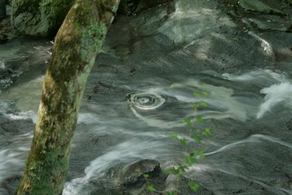 f:id:yangpingsan:20200716205657j:plain