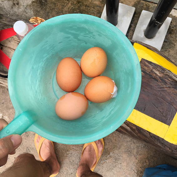 f:id:yangpingsan:20201102113634j:plain