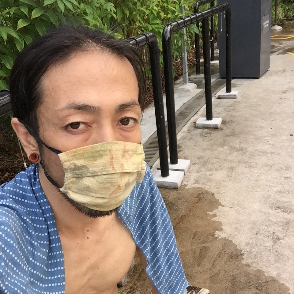 f:id:yangpingsan:20201102113641j:plain